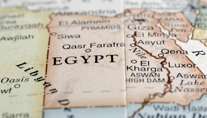 The role of translation in Egypt