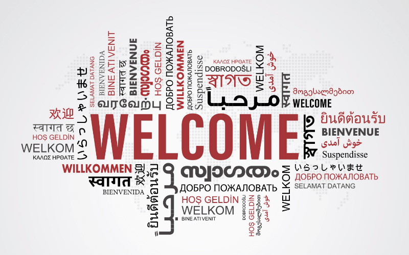 how to access translation and interpretation services